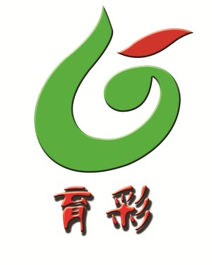 公司介绍